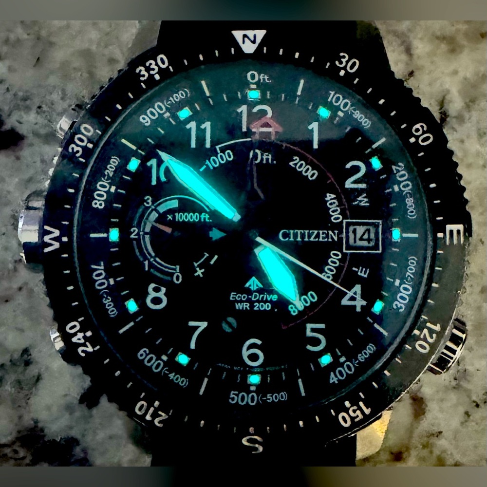 COPY - Citizen Promaster Altichron
Watch Eco-Drive J290-R007955